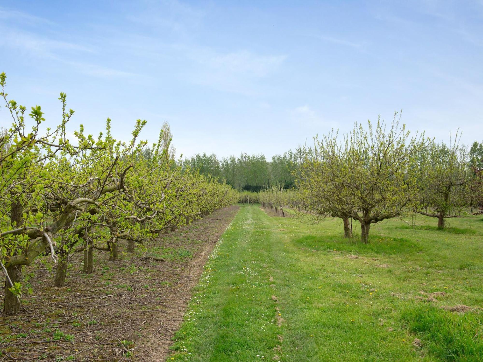 הוילה Preston  Oast View - Uk43088 מראה חיצוני תמונה